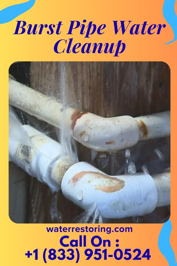 Burst Pipe Water Cleanup in Wyoming, PA