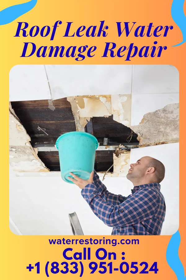 Roof Leak Water Damage Repair in Wyoming, PA