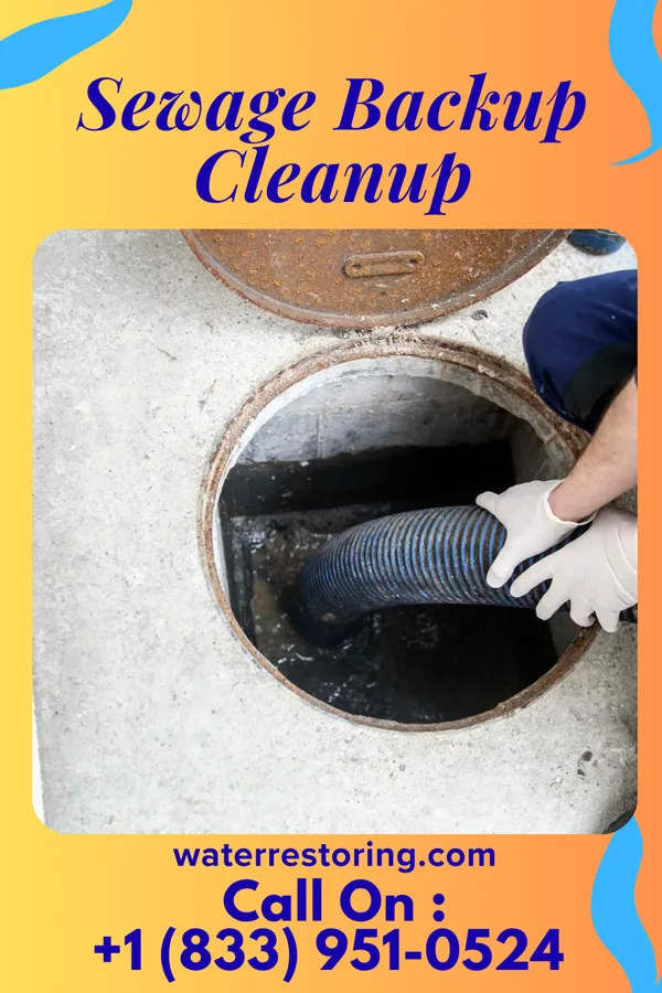 Sewage Backup Cleanup in Wyoming, PA