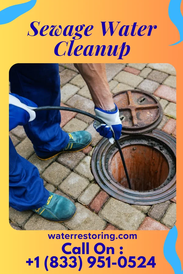 Sewage Water Cleanup in Wyoming, PA