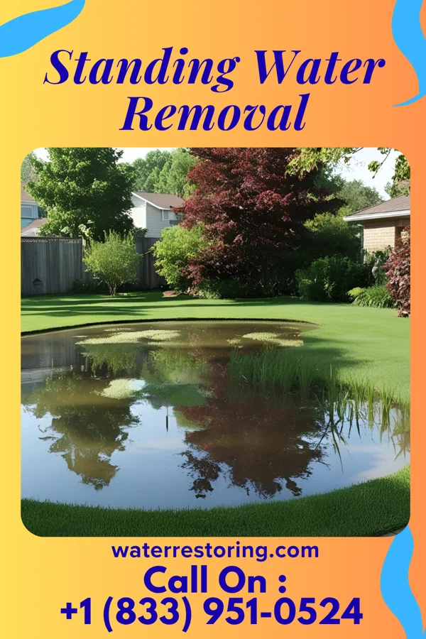 Standing Water Removal in Wyoming, PA